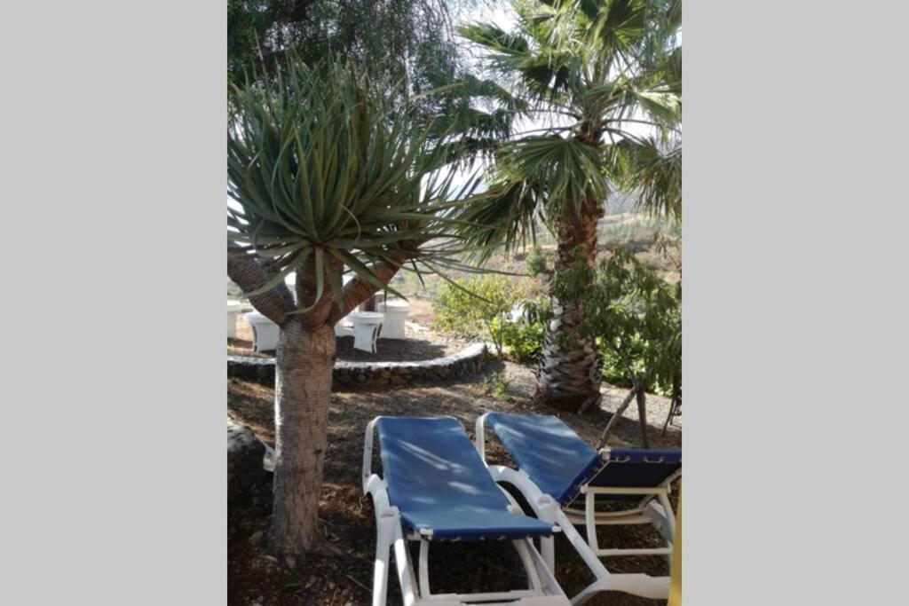 Casa Las Laderitas B เอลปาโซ ภายนอก รูปภาพ
